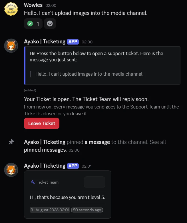 The member's direct messages with the bot: they report a problem, the bot opens a ticket, and a staff answer arrives with no prefix on it.